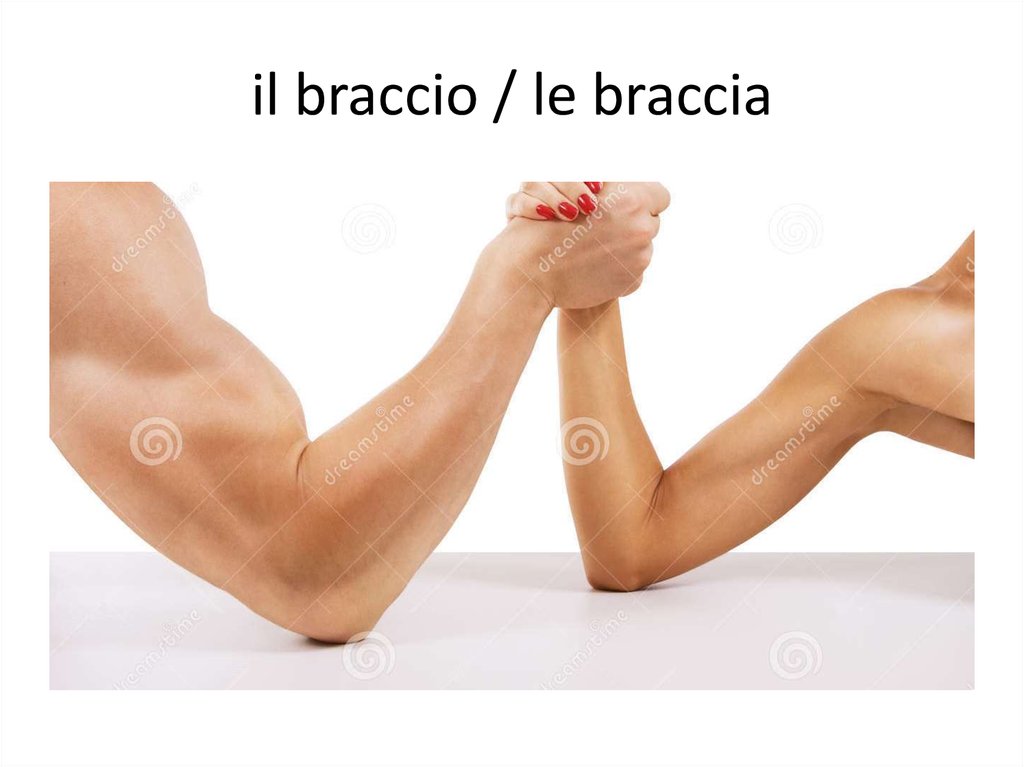 il braccio / le braccia
