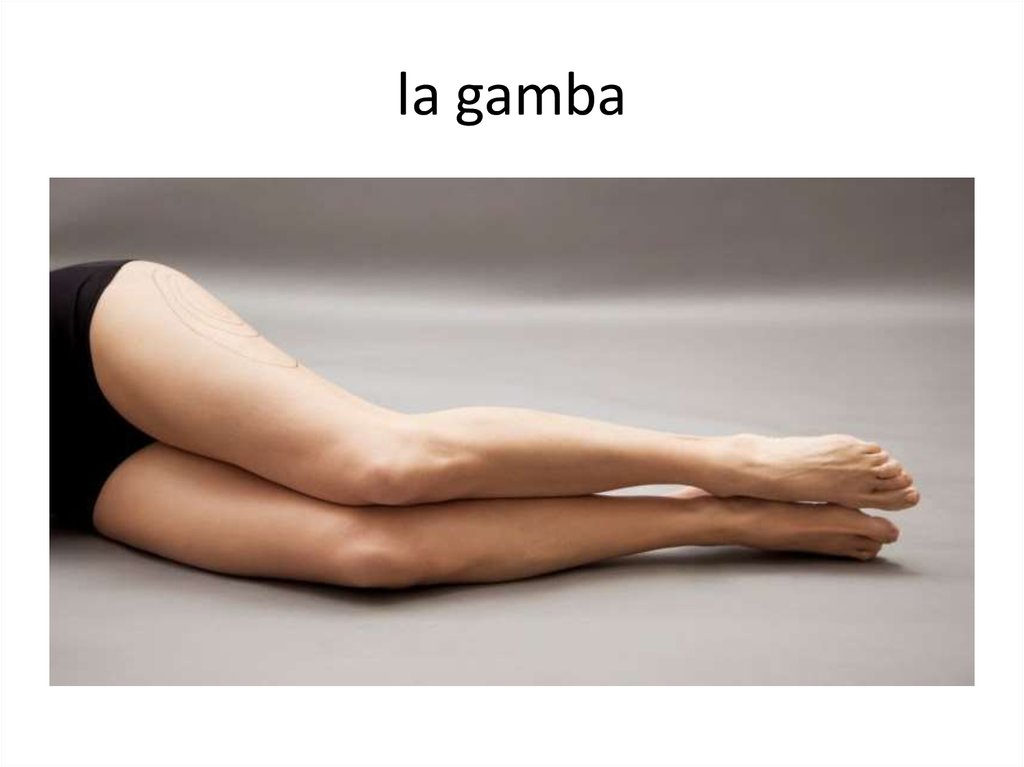 la gamba