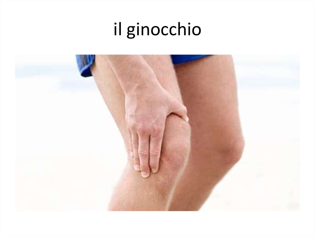 il ginocchio