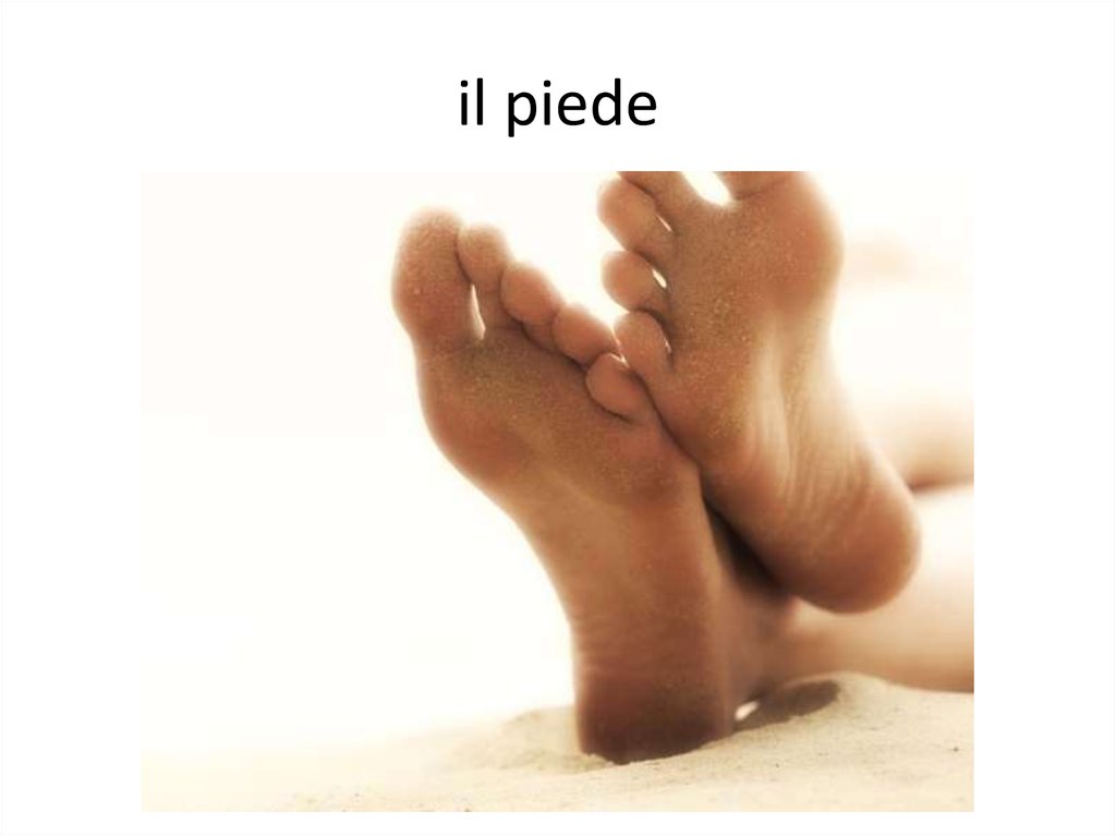 il piede