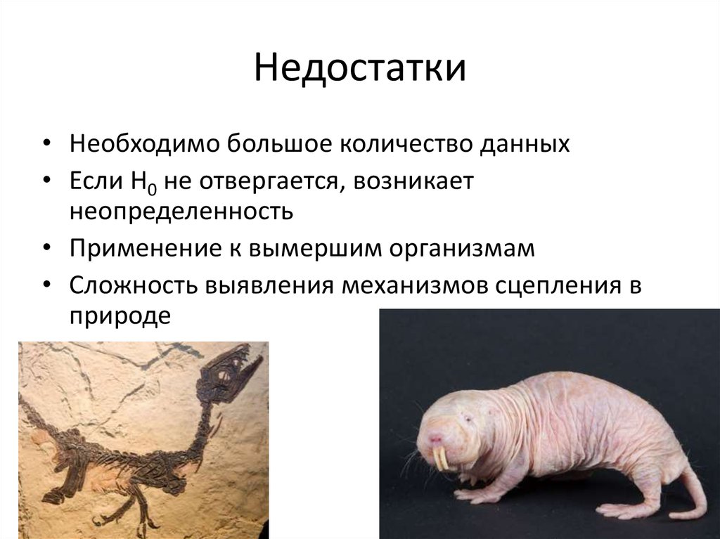 Недостатки