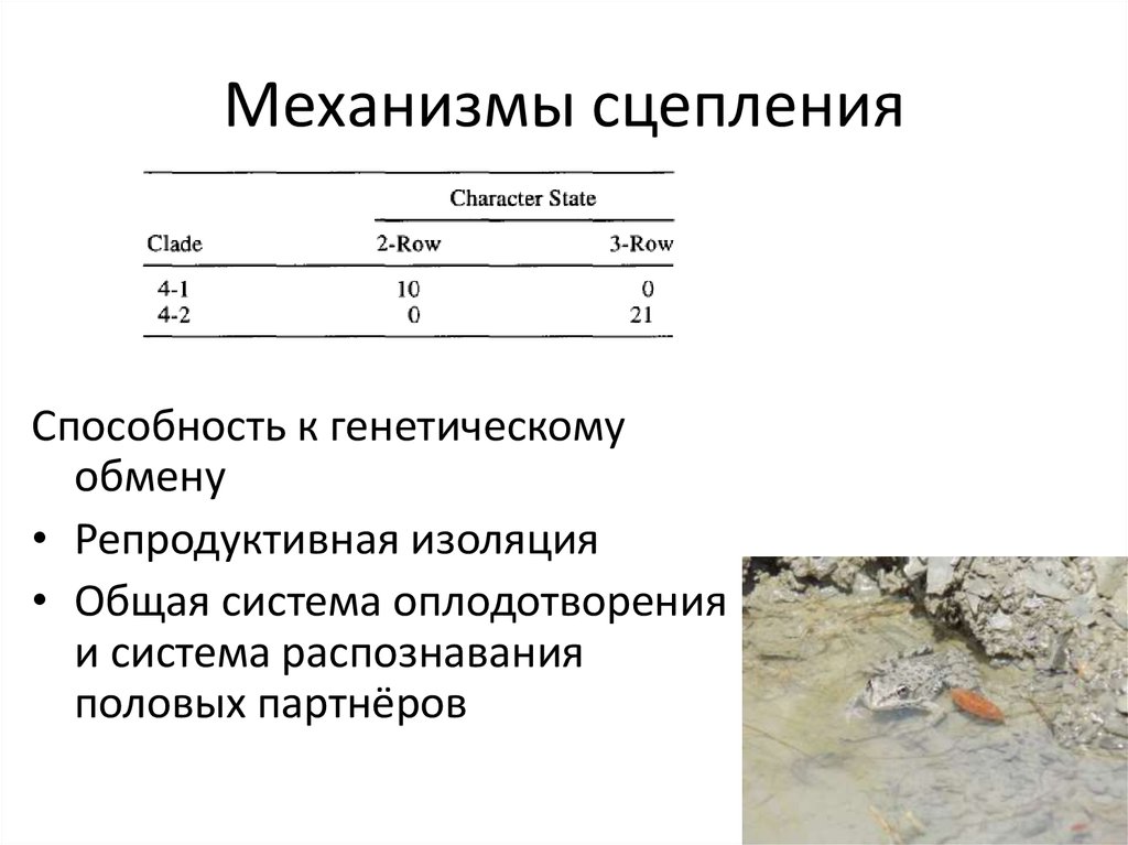 Механизмы сцепления