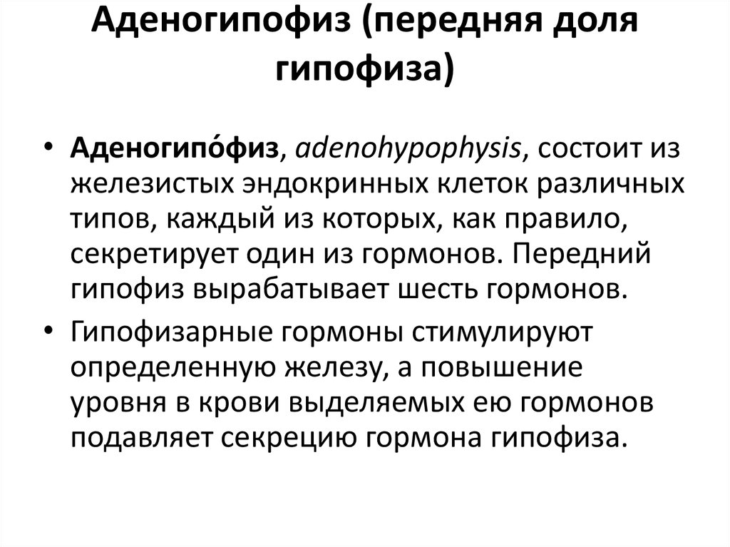 Аденогипофиз. Топография гипофиза доли аденогипофиз нейрогипофиз. Аденогипофиз презентация. Передняя часть аденогипофиза гормоны.