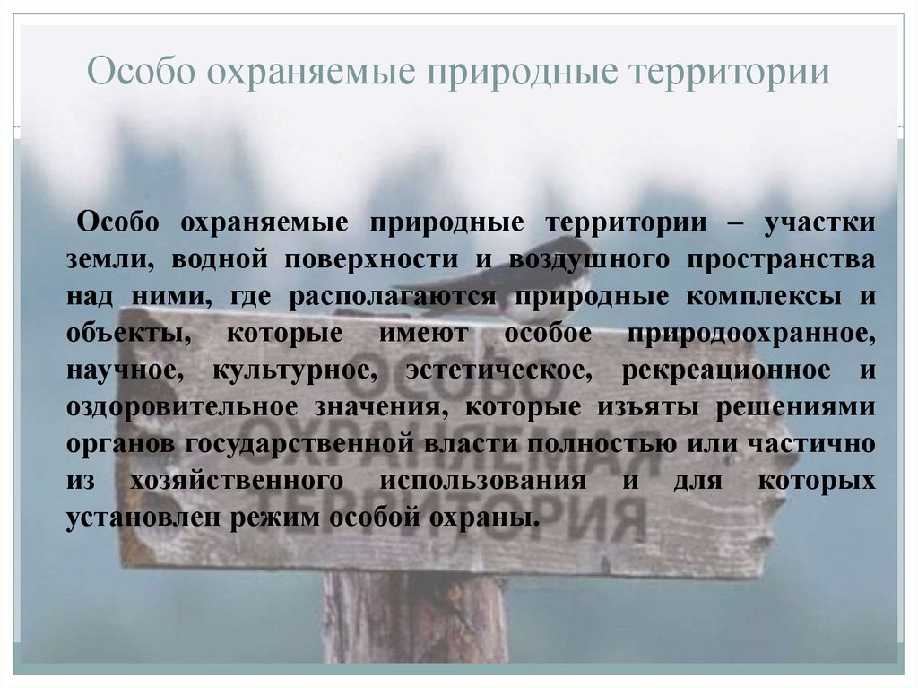 Охраняемые природные территории нижегородской области. Охраняемые природные территории презентация. Особо охраняемые природные территории презентация. Особо охраняемые природные территории Японии. Земли особо охраняемых территорий оздоровительного значения.