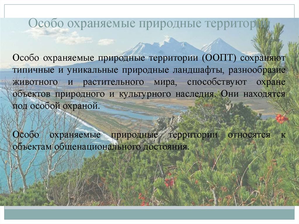 К особо охраняемым территориям относятся. Особо охраняемые природные территории. Ландшафт. Ландшафты ООПТ это. Создание особо охраняемых природных территорий. Природные объекты находящиеся под особой охраной.