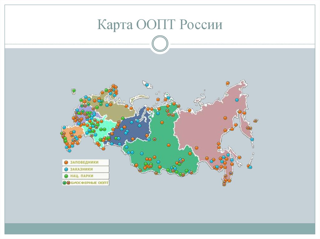 Карта оопт санкт петербурга