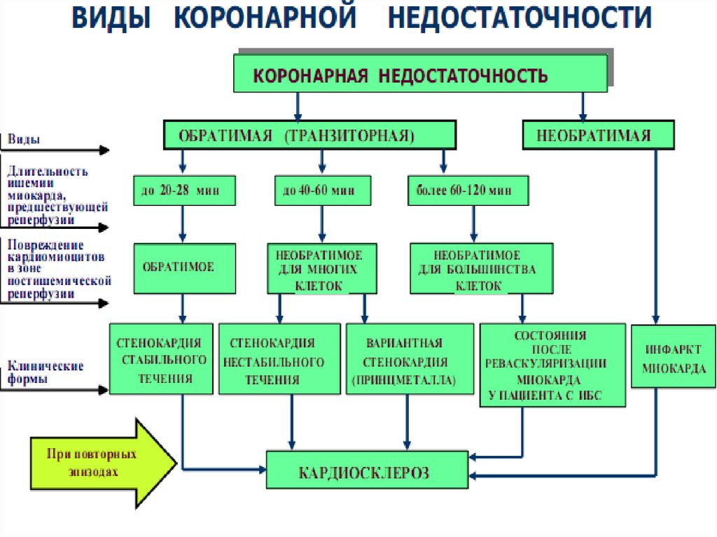 Недостаточность сосудистого тонуса