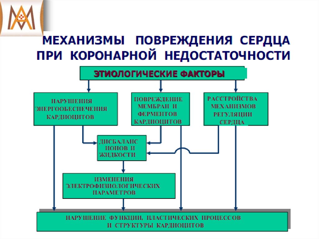 Факторы сердечной недостаточности