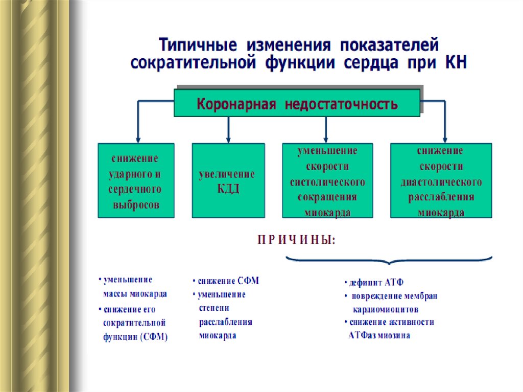 Коронарная недостаточность. Изменения показателей функции сердца при коронарной недостаточности. Сердечная недостаточность и коронарная недостаточность. Изменение функций сердца при коронарной недостаточности. Изменение показателей функции сердца при коронарной.