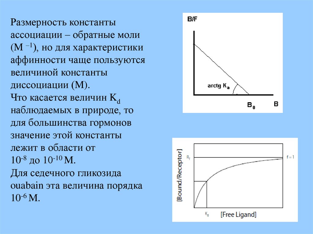 Размерность констант. Константа ассоциации. Размерность константы. Константа д ассоциации. Размерность константы сродства.