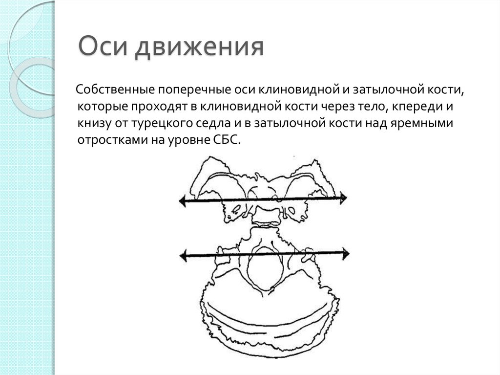 Вертикальная ось движения