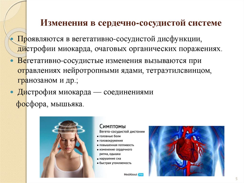 Изменение сердечно сосудистой системы. Нарушение работы сердца. Функциональные изменения сердца. Функциональные изменения сердечно-сосудистой системы.