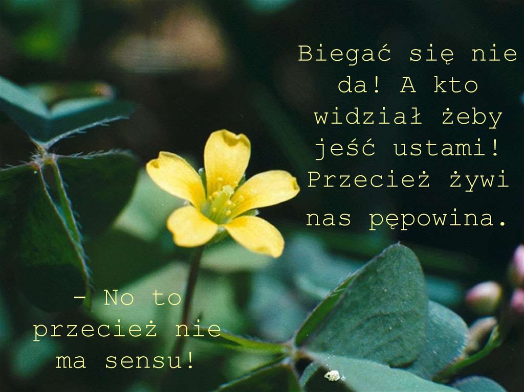 Biegać się nie da! A kto widział żeby jeść ustami! Przecież żywi nas pępowina.