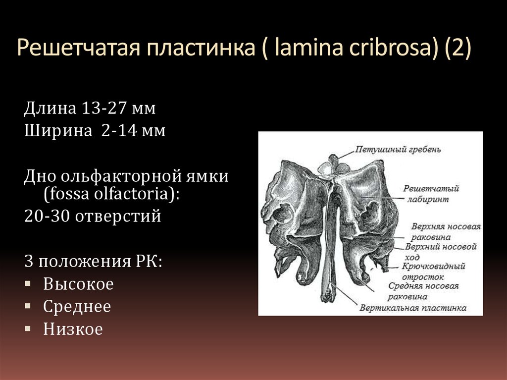 Менингиомы: основная информация, лечение и …