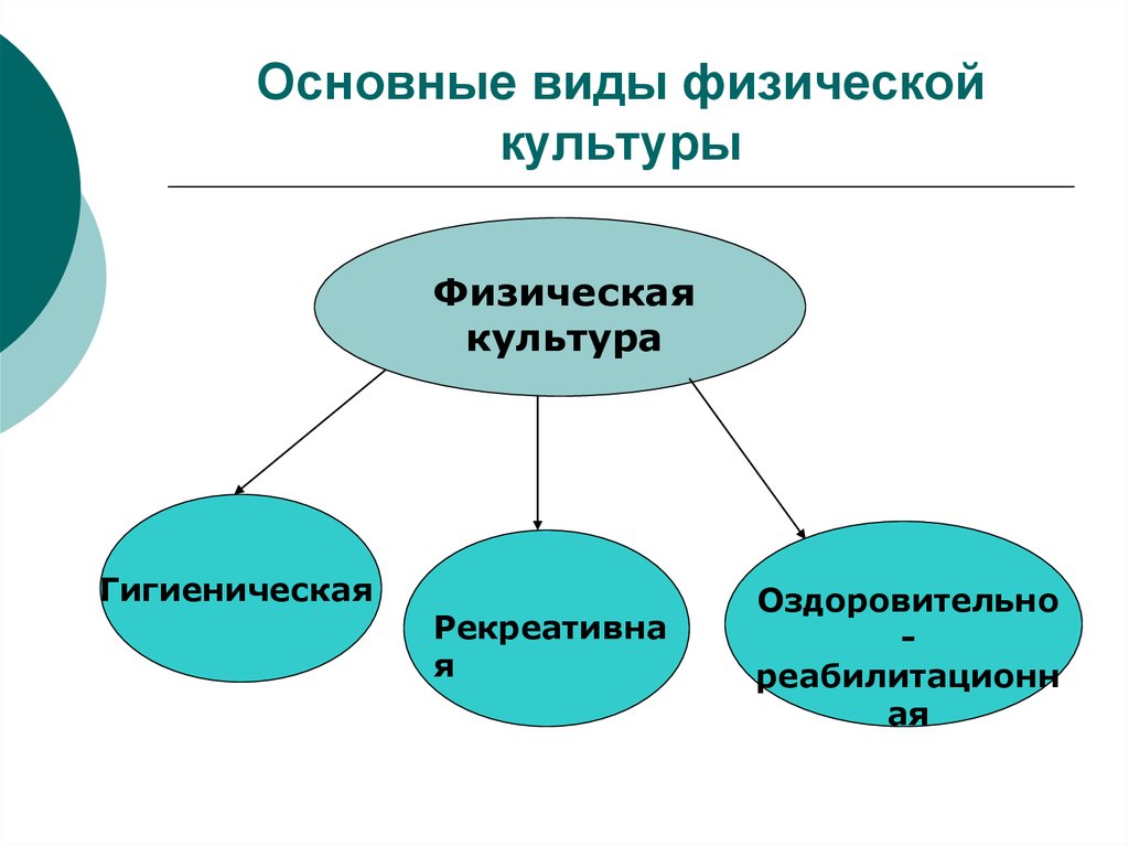 Виды рекреативной физической культуры