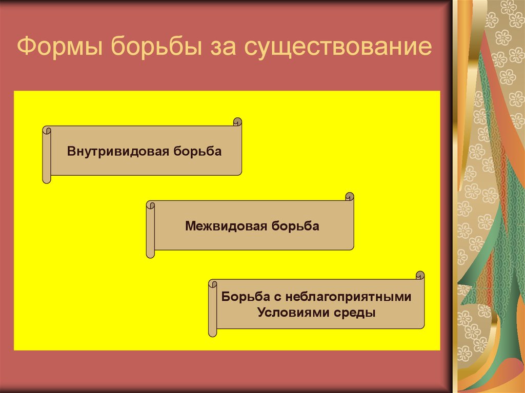 Борьба за существование и естественный отбор движущие силы эволюции 9 класс презентация