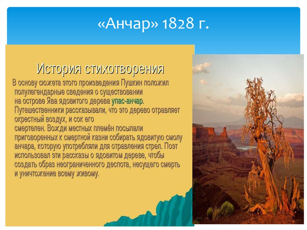 Стих анчар. «Анчар» (1828) Пушкин. Анчар стихотворение Пушкина. О произведении Пушкина Анчар. Анчар Пушкин стихотворение.