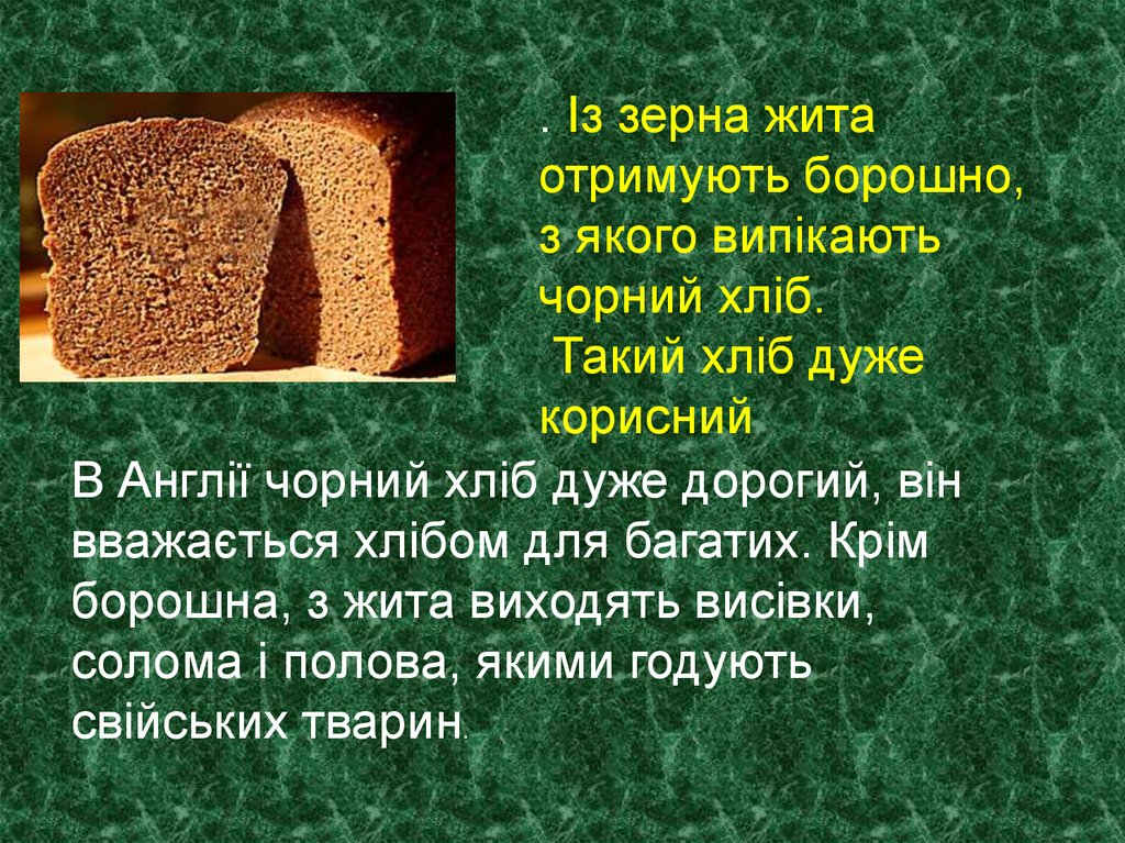 Из какой зерновой культуры делают хлеб. Хлеб из ржи. Из чего изготовлен хлеб. Что получают из ржи. Что делают из ржи.