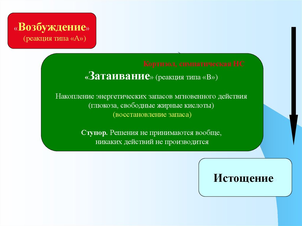 Реакция возбуждения. «Реакция затаивания». Психология реакции возбуждения и. Реакции возбуждения. Возбудимые реакции при ЧС.