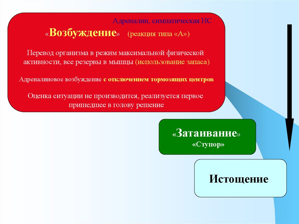 Реакция возбуждения. Возбуждение в физической активности. Реакции организмов перечисление. Внешнеобвиняющий Тип реагирования. Тормозимый Тип реагирования.