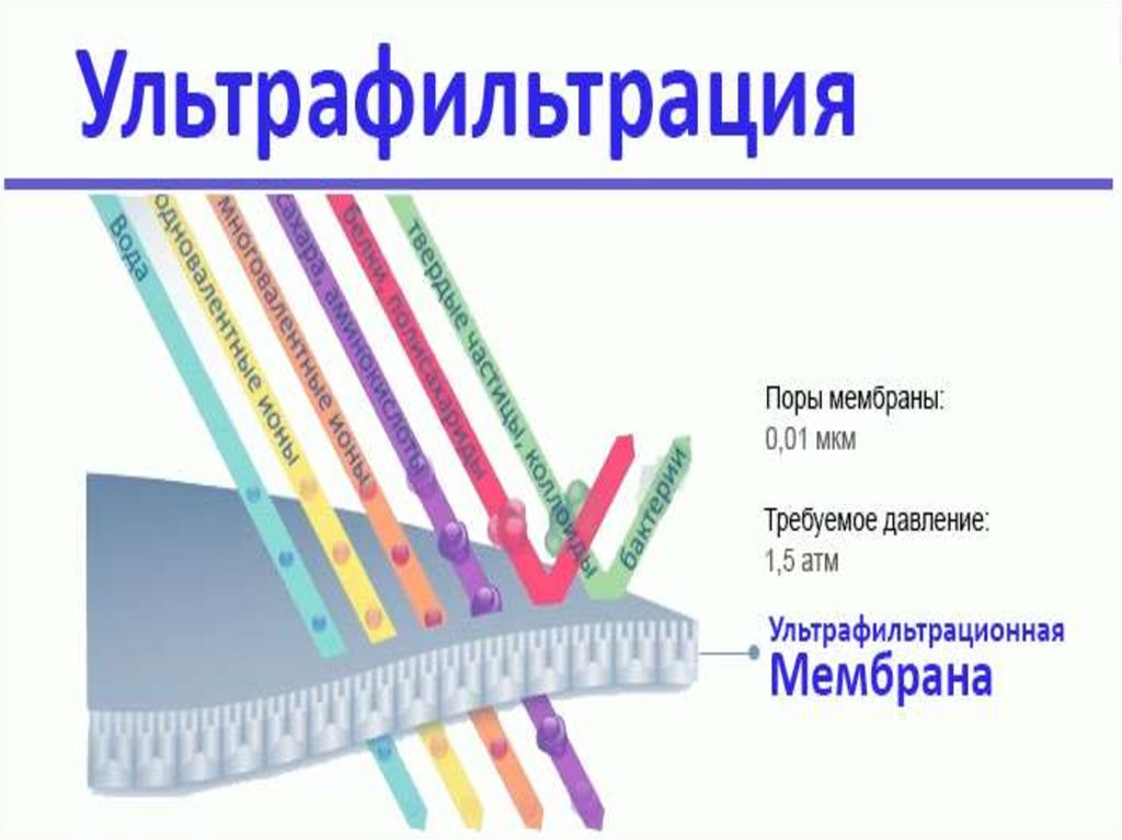 Мембрана поры. Ультрафильтрационная мембрана. Ультрафильтрация 1 мембрана. Плоские ультрафильтрационные мембраны. Ультрафильтрация в медицине.