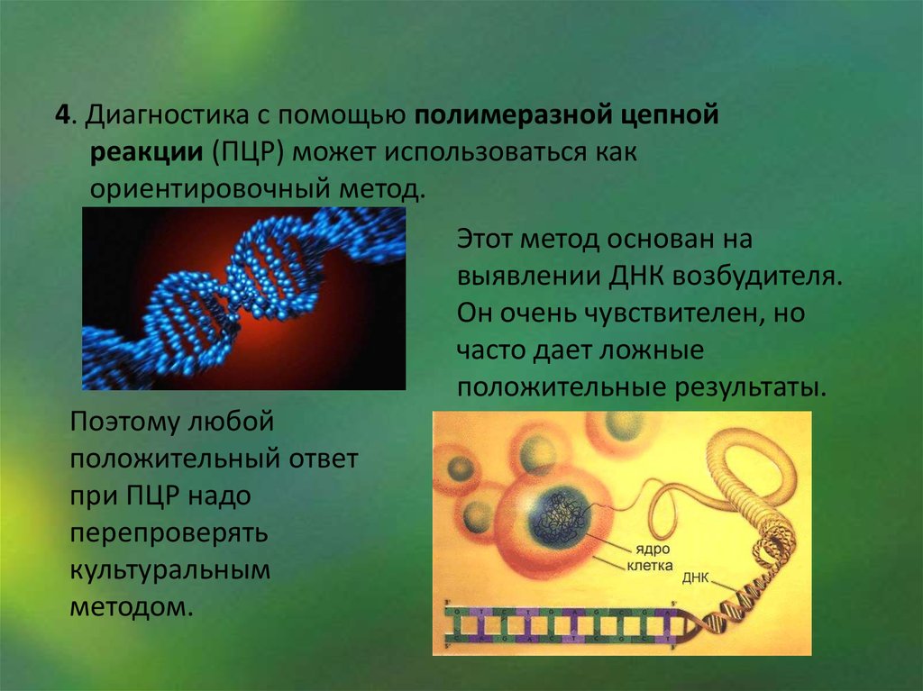 Ложно положительные пцр. ПЦР на гонорею. Гонорея история презентация. Полимеразная цепная реакция фото. Гонорея картинки для презентации.