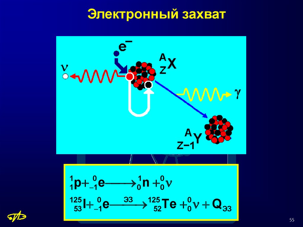 Электронный бета распад ядра