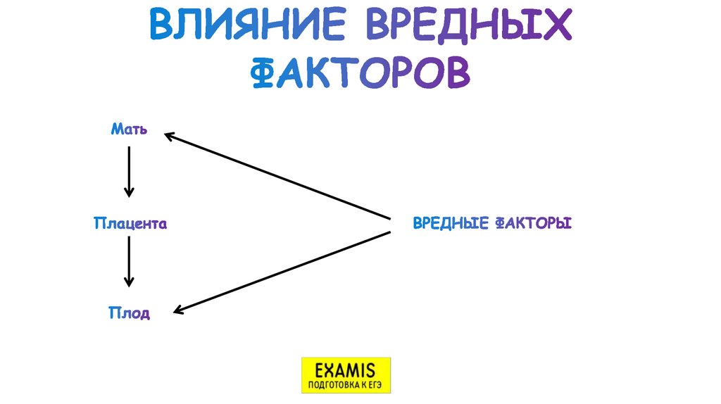 ВЛИЯНИЕ ВРЕДНЫХ ФАКТОРОВ