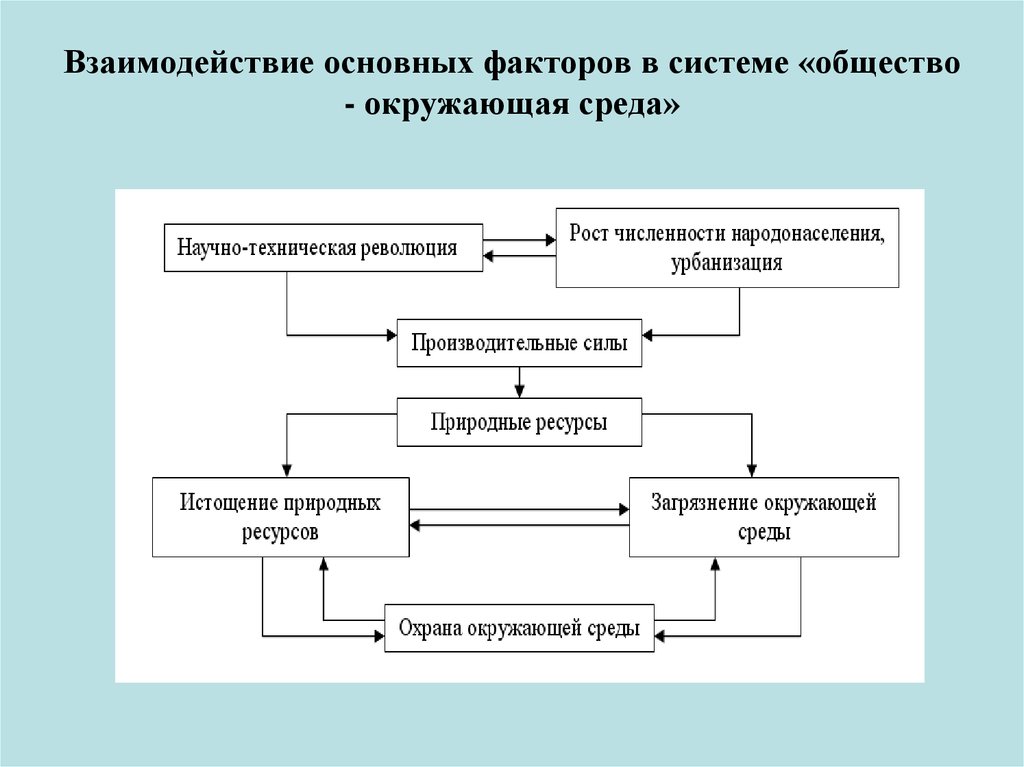 Общество окружающей среды. Взаимодействие основных факторов в системе общество. Взаимодействие факторов окружающей среды схема. Схема общество и окружающая среда. Взаимодействие факторов среды.