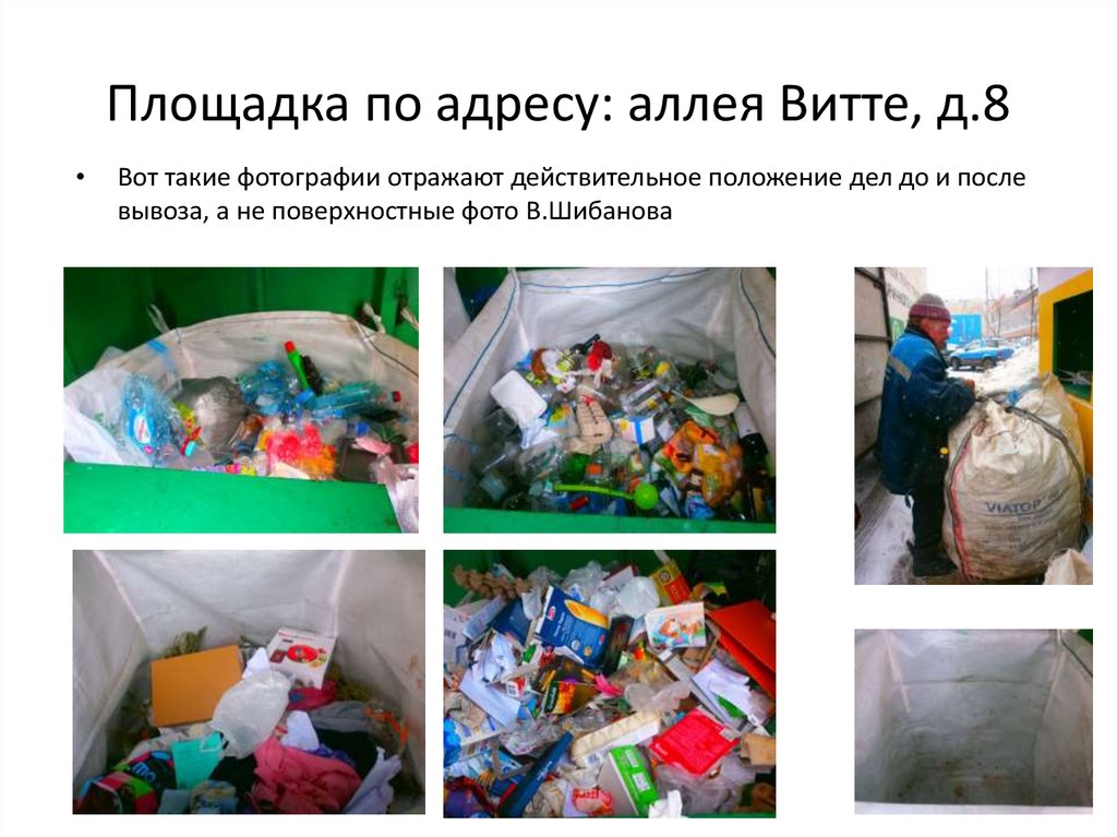 Площадка по адресу: аллея Витте, д.8