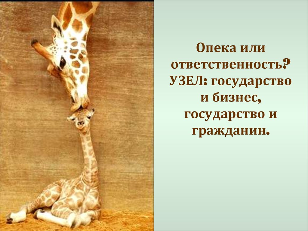 Опека или ответственность? УЗЕЛ: государство и бизнес, государство и гражданин.