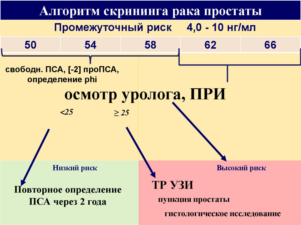 Анализ здоровье простаты. Скрининг алгоритм. Скрининг предстательной железы. Пса при онкологии. Пса при онкологии предстательной железы.