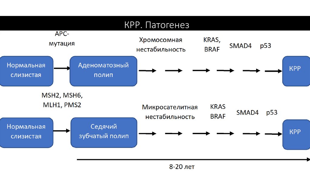 Карта мш 2