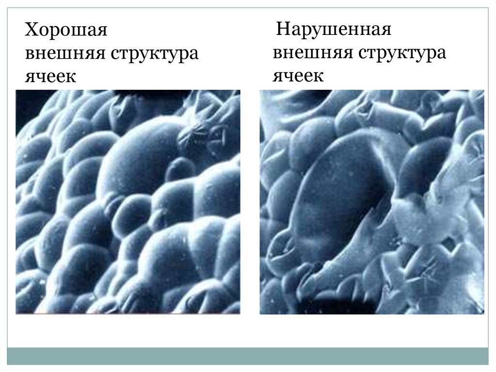 Вспененные полимерные материалы. Классификация и принцип действия ...