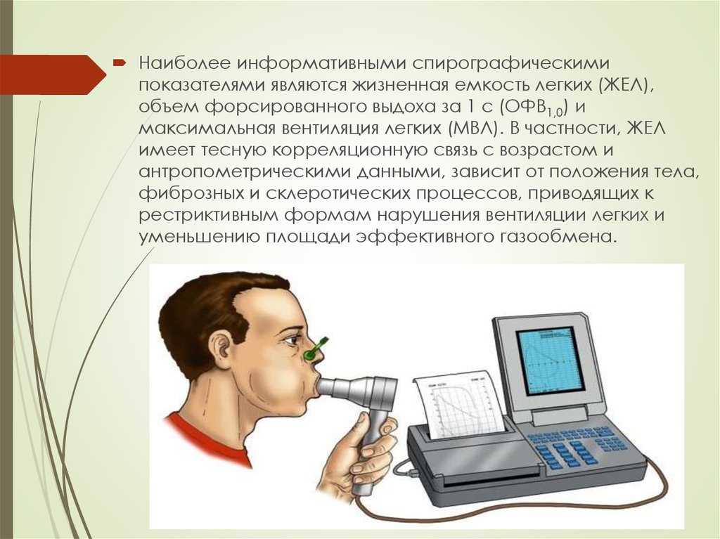 Жизненная емкость легких картинки