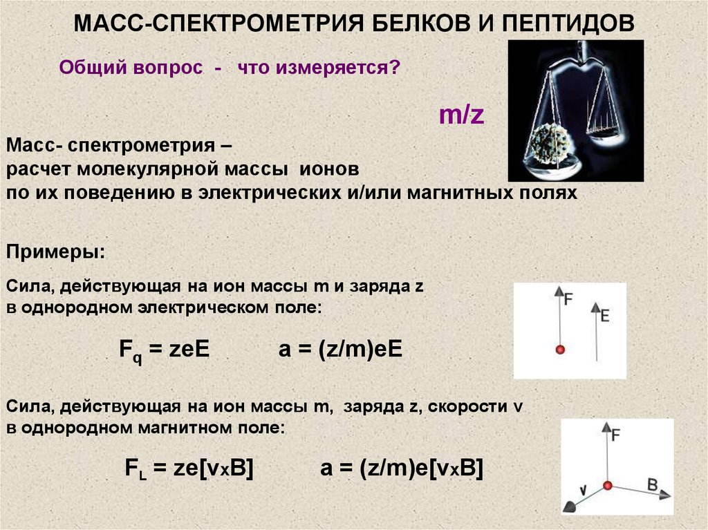 Масса измеряется в. Основное уравнение масс-спектрометра. Основное уравнение масс спектрометрии. Масс-спектрометрия белков. Спектрометрия белков.