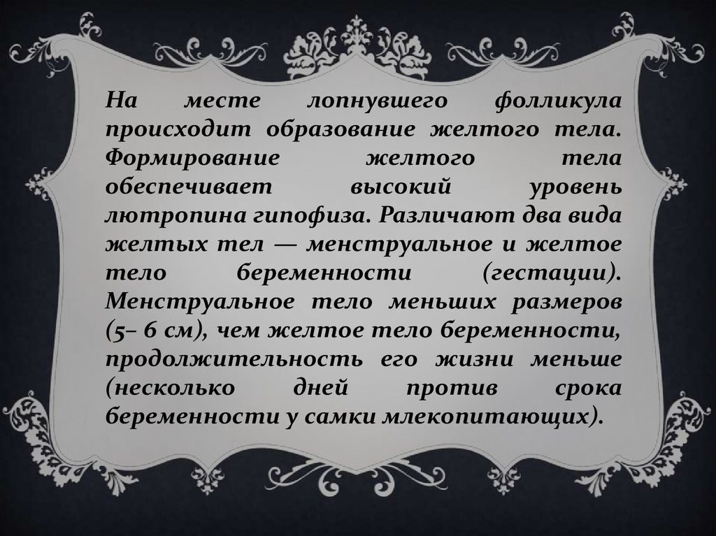 Значение слова бесцеремонно. Бесцеремонно значение.