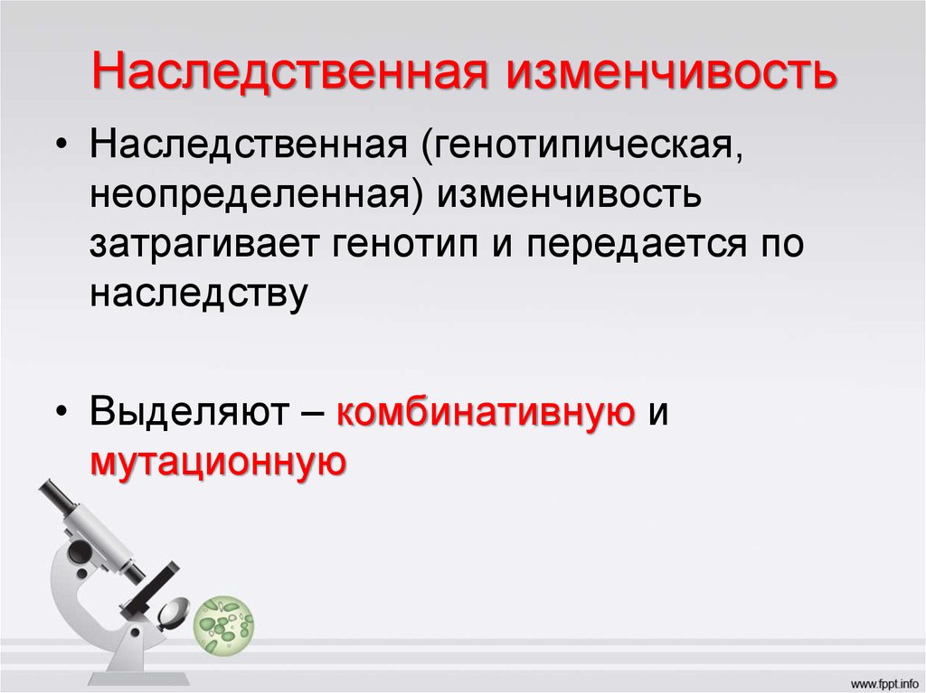 Наследственная изменчивость презентация 10 класс