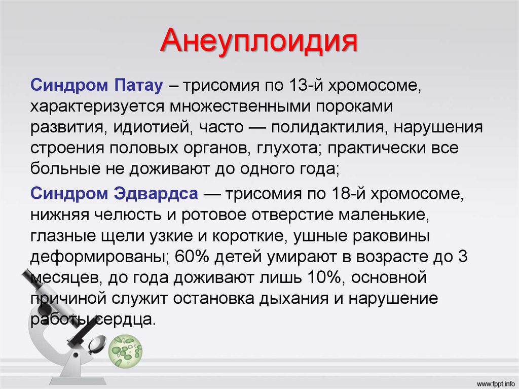 Анеуплоидия по аутосомам. Анеуплоидия. Анеуплоидия примеры. Примеры анеуплоидии у человека. Анеуплоидия. Типы анеуплоидов.