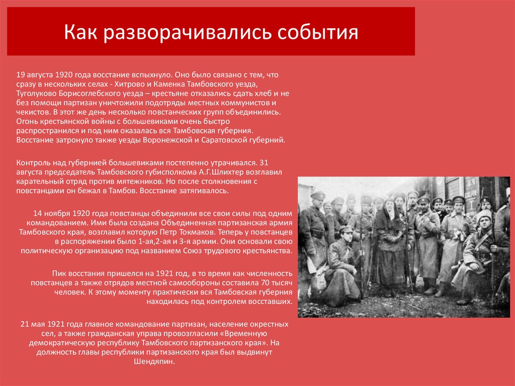 Реферат: Крестьянское восстание в Тамбовской губернии в 1919-1921 гг. Антоновщина