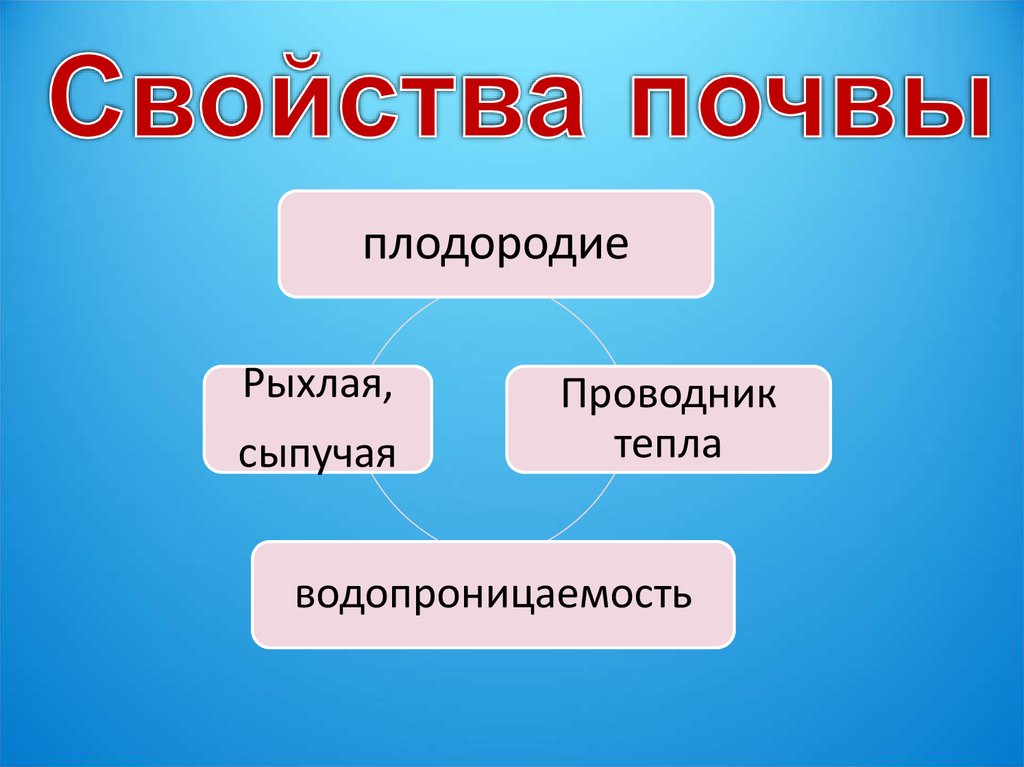 Какие свойства почвы. Основные свойства почвы 3 класс окружающий мир. Основное свойство почвы 3 класс. Главное свойство почвы 4 класс окружающий мир. Основные свойства почвы 3 класс.