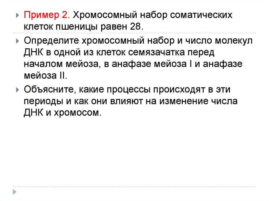 Хромосомный набор соматических клеток пшеницы 28. Хромосомный набор пшеницы равен 28. Хромосомный набор семязачатка. Хромосомный набор соматических клеток пшеницы равен 28. Набор хромосом соматической клетке пшеницы 28.