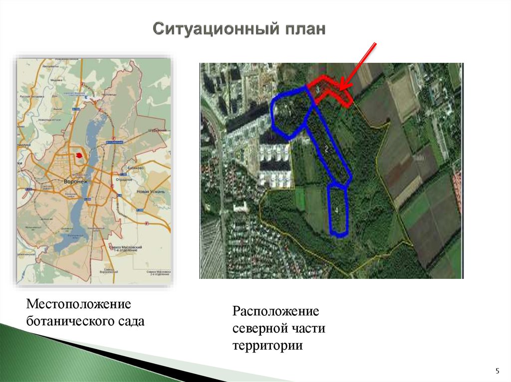 Ботанический сад воронеж карта