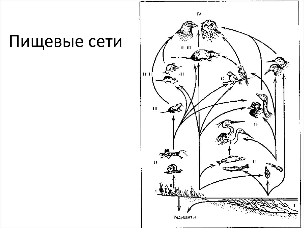 Редуцент изображен на рисунке под цифрой