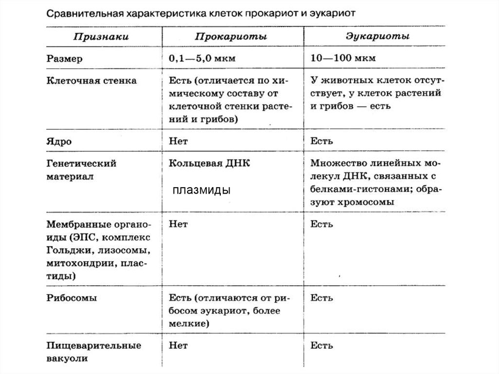 Строение клетки бактерии. Размер клетки бактерии. Строение и ее функции комплекс Гольджи у прокариотов и эукариотов. Таблица бактериальные клетки среда обитания.