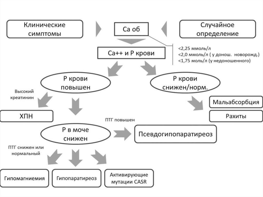 Значение схемы обследования больного в общеклинической практике