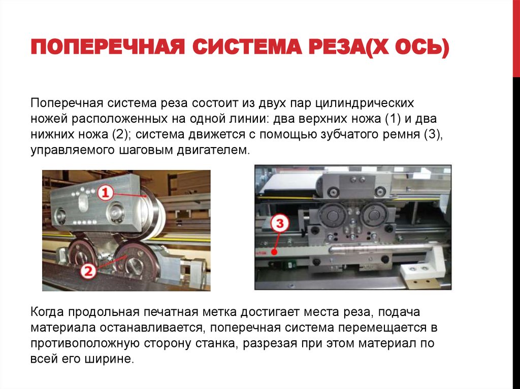 Поперечная ось. Поперек оси. Поперек оси это как. Поперечная ось 2 в.