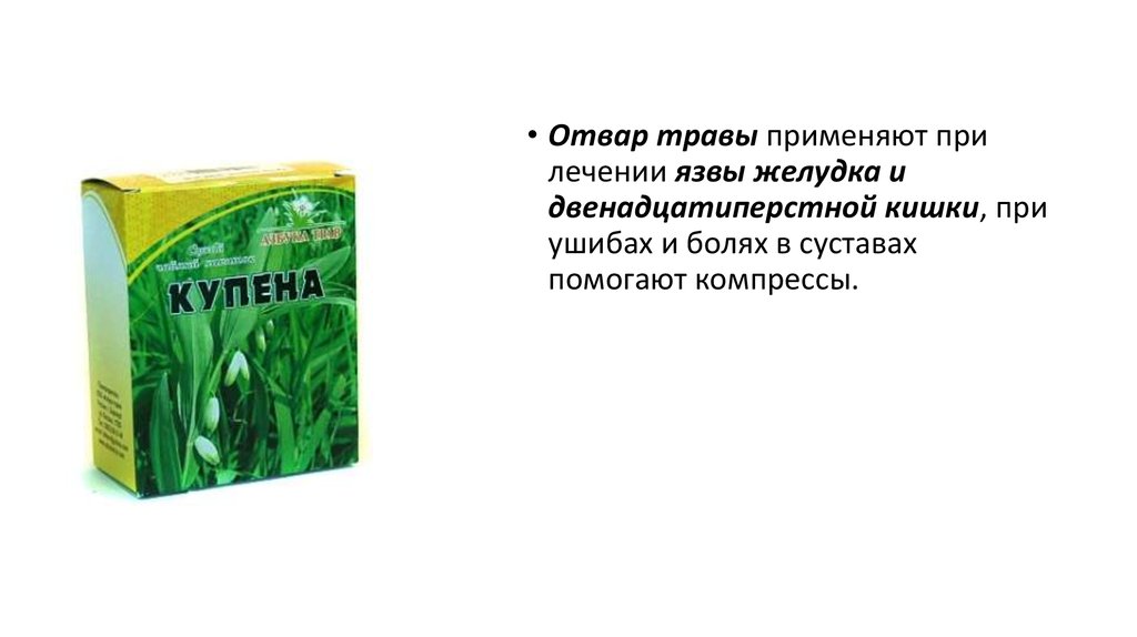 Какая трава помогает от боли. Травы при язве желудка. Растения при ушибах. Травы при язвенной болезни желудка. Травы при язве двенадцатиперстной кишки.