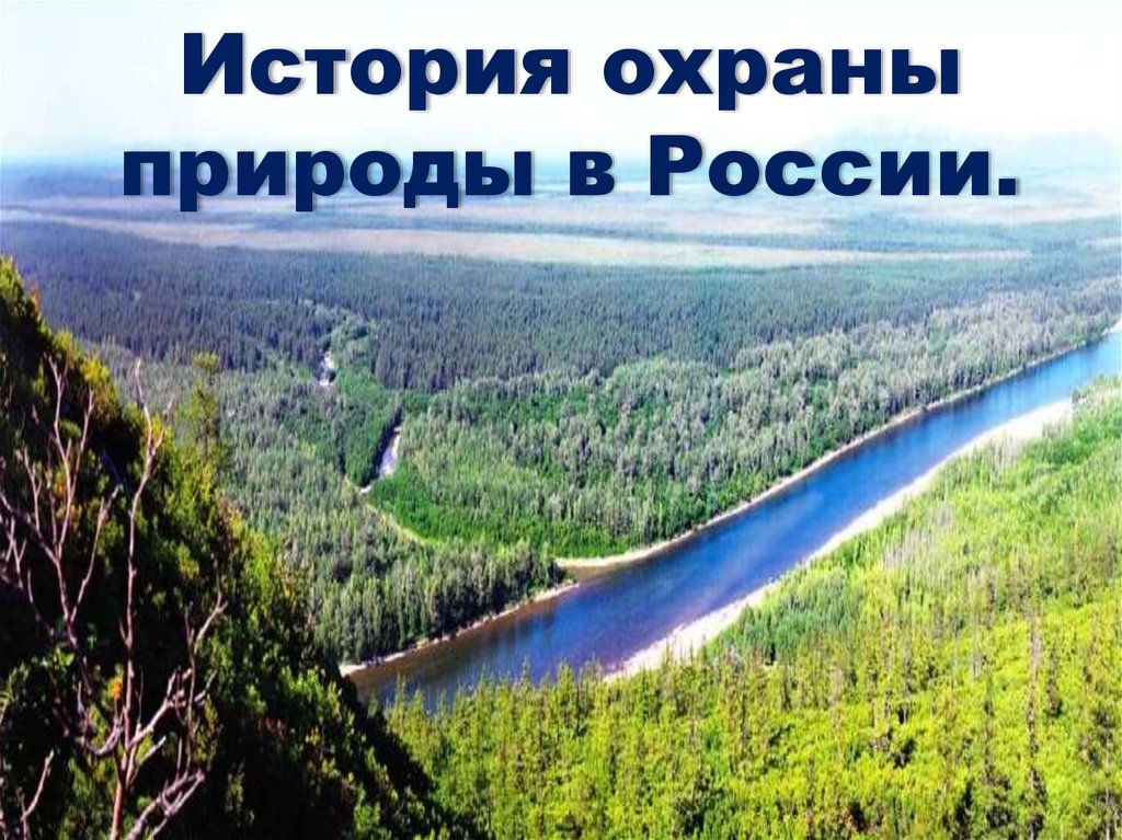 Видео охраны природы. Охрана природы в России. Охрана природы слайд. История охраны природы. Защита природы в России.