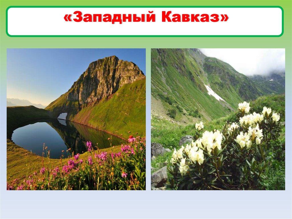 «Западный Кавказ»